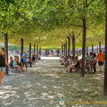 Some like it hot but others prefer the shade